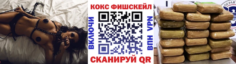 дарнет шоп  Приморск  COCAIN Fish Scale 