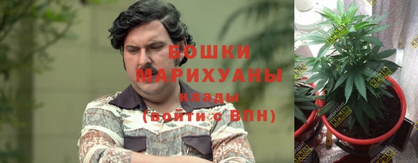 индика Алзамай