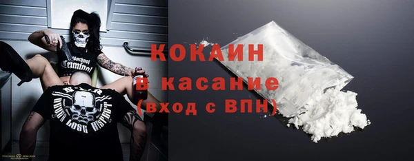 индика Алзамай