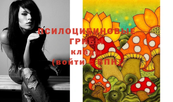 индика Алзамай